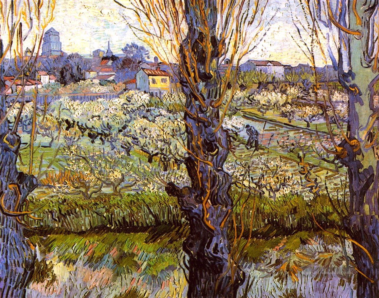 Orchard in Bloom mit Pappeln Vincent van Gogh Ölgemälde